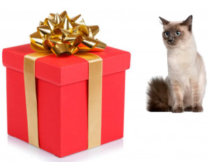 Pārsteiguma dāvanu kaste kaķiem no Zoocentra M